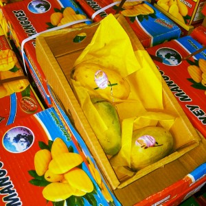 IMG_20130724_214825_resized